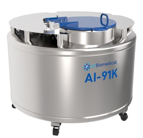 AI 91K
