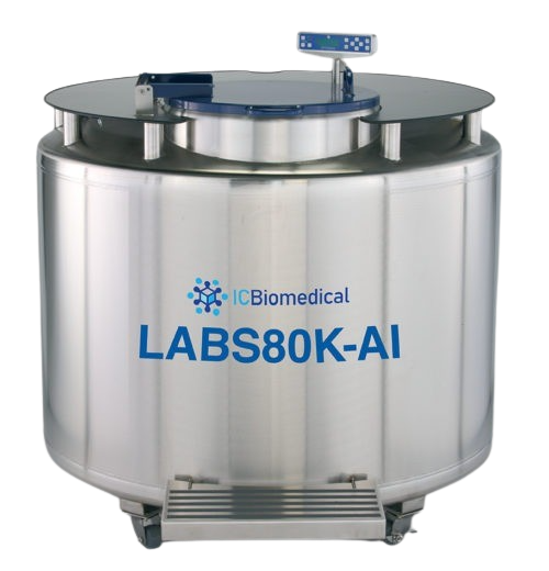 LABS 80K AI