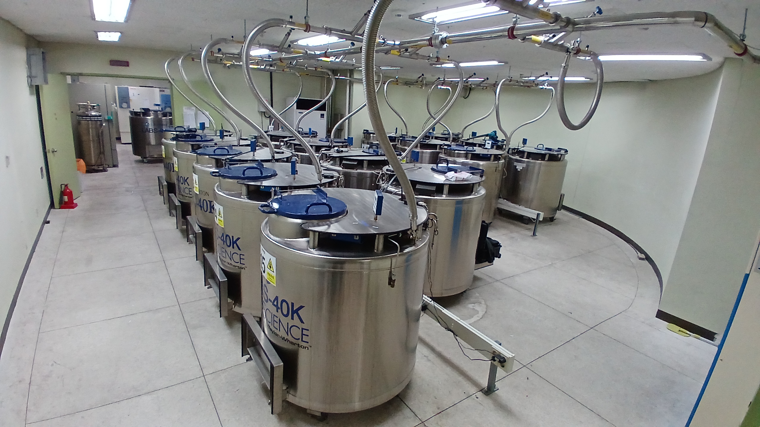Boramae Hospital — IC Biomedical LABS-40K with LN₂ piping